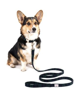 Black Watch Tartan Harris Tweed Dog Lead