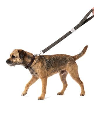 Brown Herringbone Harris Tweed Dog Lead