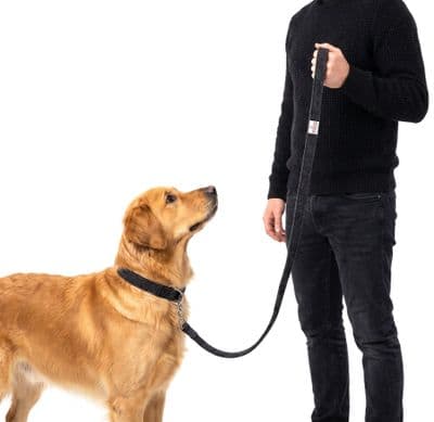 Charcoal Herringbone Harris Tweed Dog Lead