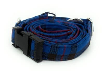 Elliot Tartan Dog Collar And Lead Set