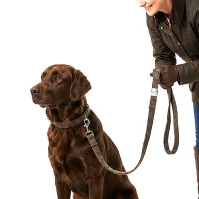 Green Herringbone Harris Tweed Dog Lead