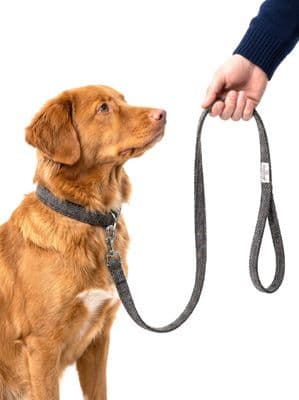 Green Herringbone Rust Overcheck Harris Tweed Dog Lead