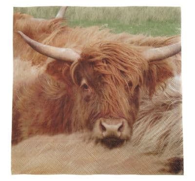 Highland Cow Napkins 3 Ply 20 Pack 33 cm x 33 cm