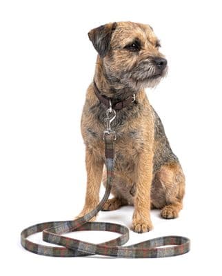 MacLeod Harris Tweed Dog Lead
