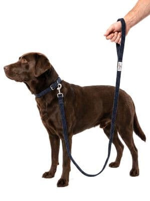 Navy Herringbone Harris Tweed Dog Lead