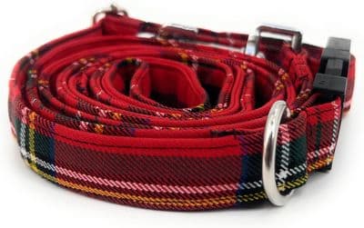 Royal Stewart Tartan Dog Collar And Lead Set