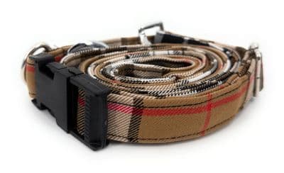 Thomson Camel Tartan Dog Collar And Lead Set