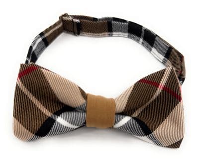 Thomson Camel Tartan Pre-Tied Bow Tie