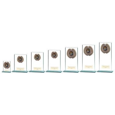 Academic/Achievement Warrior Trophy