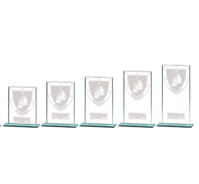 Boxing Glass Award - Millennium
