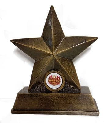 Bronze Star Award - 16cm