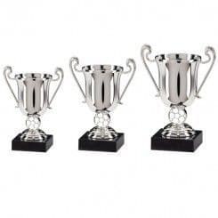Cup Award Silver Plastic Marble Base Champion