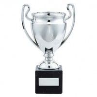 Cup Award Silver Plastic, Marble Base Legend