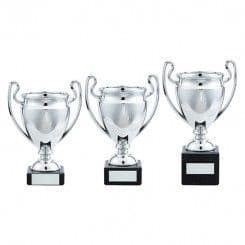 Cup Award Silver Plastic, Marble Base Legend