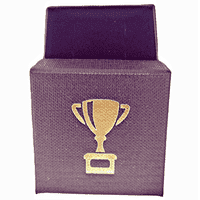 Enamel Hurling Medal Green 33mm - Silver