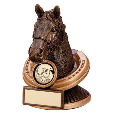 Endurance Horse Head Trophy
