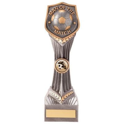 Falcon  Man of the Match Soccer/ Football Trophy