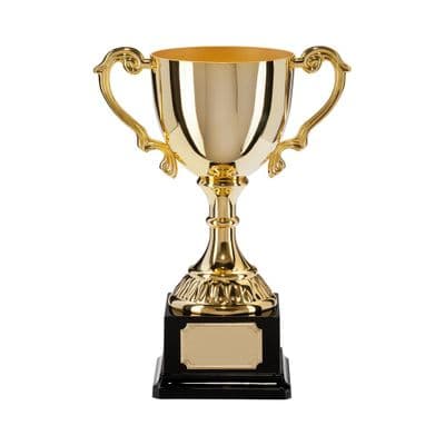 Gold Plated Canterbury Cup