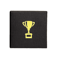 Hurling  Gold Medal - 34mm