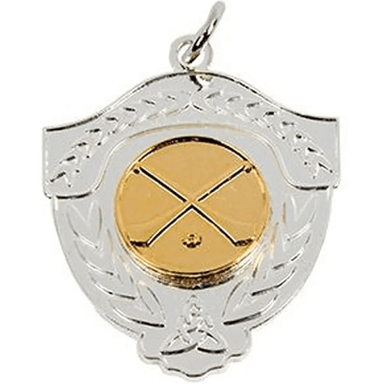 Hurling  Medal Silver & Gold
