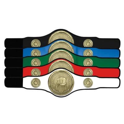 Martial Arts Champion Belt