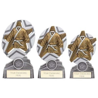 Martial Arts Trophy The Stars