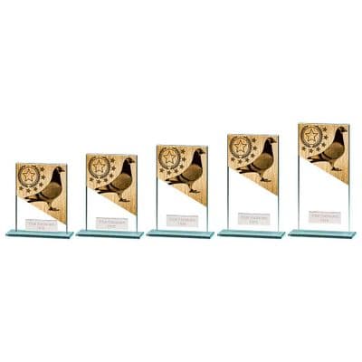 Pigeon Glass Award Mustang