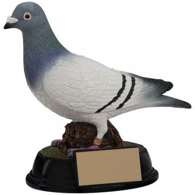 Pigeon Trophy Elite