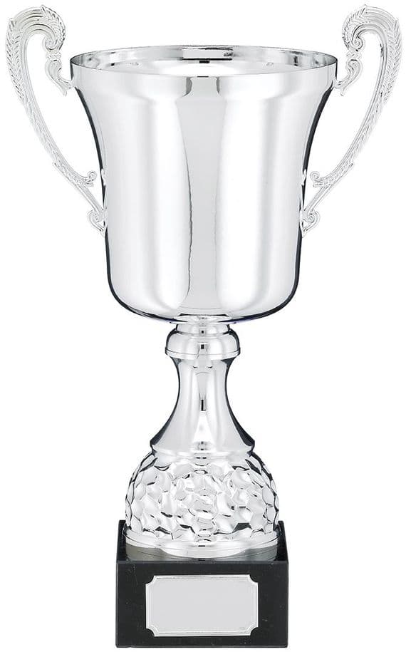 Presentation Cup Silver