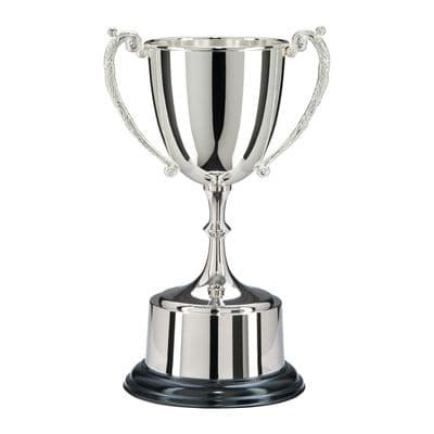 Quality Nickel Plated  Cups