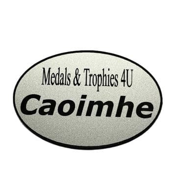 Staff Name Badge Oval in Silver 60x40mm.