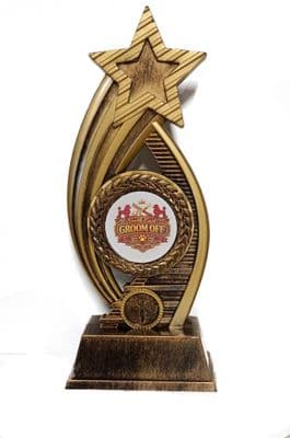 Tall Star Award - 26cm