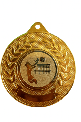 Volleyball Valour Medal - 50mm