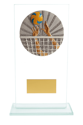 Volleyball Warrior Jade Glass Award