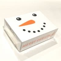 Snowman Christmas Titleist Pro V1 Golf Ball & Golf Tee Gift Set