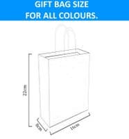 Light Blue Gift Bags (HB)