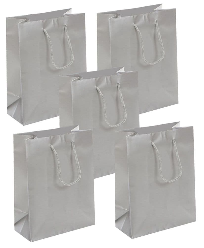 Silver Matt Laminated medium Gift Bags