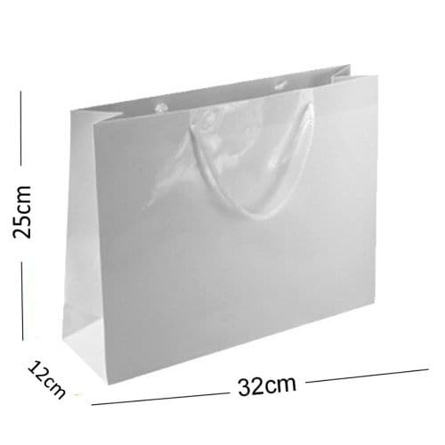 White Glossy Landscape Boutique Shop Gift Bags ~ Strong Quality Shiny Gloss Bag