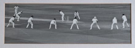 "Australian Slip Fielders" Framed Press Photo