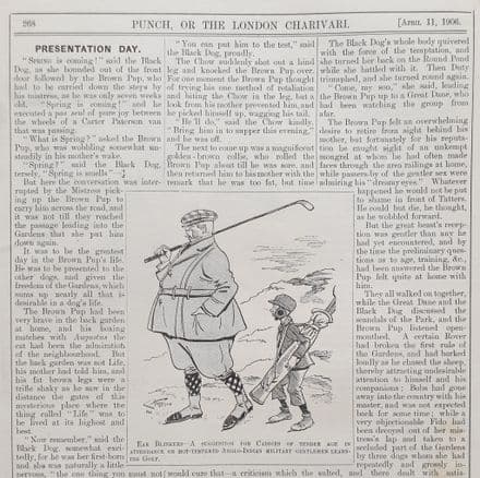 "EAR BLINKERS" Punch Cartoon (1906, Apr 11)