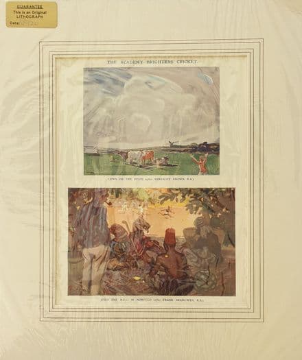 "THE ACADEMY BRIGHTENS CRICKET" Frank Reynolds Coloured Punch Cartoon