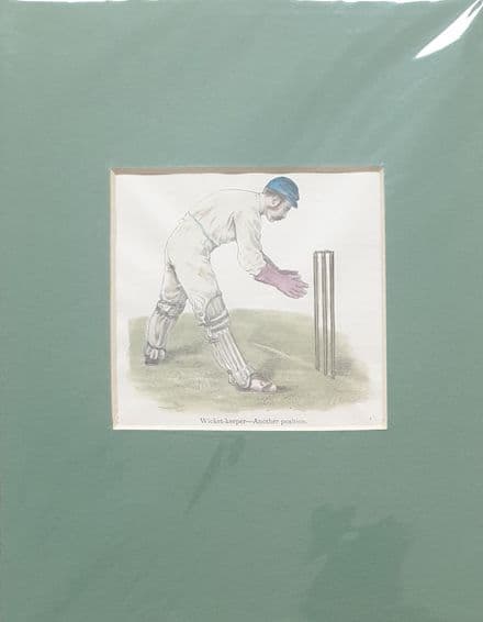 "Wicket-keeper - Another position" Coloured Cricket Print