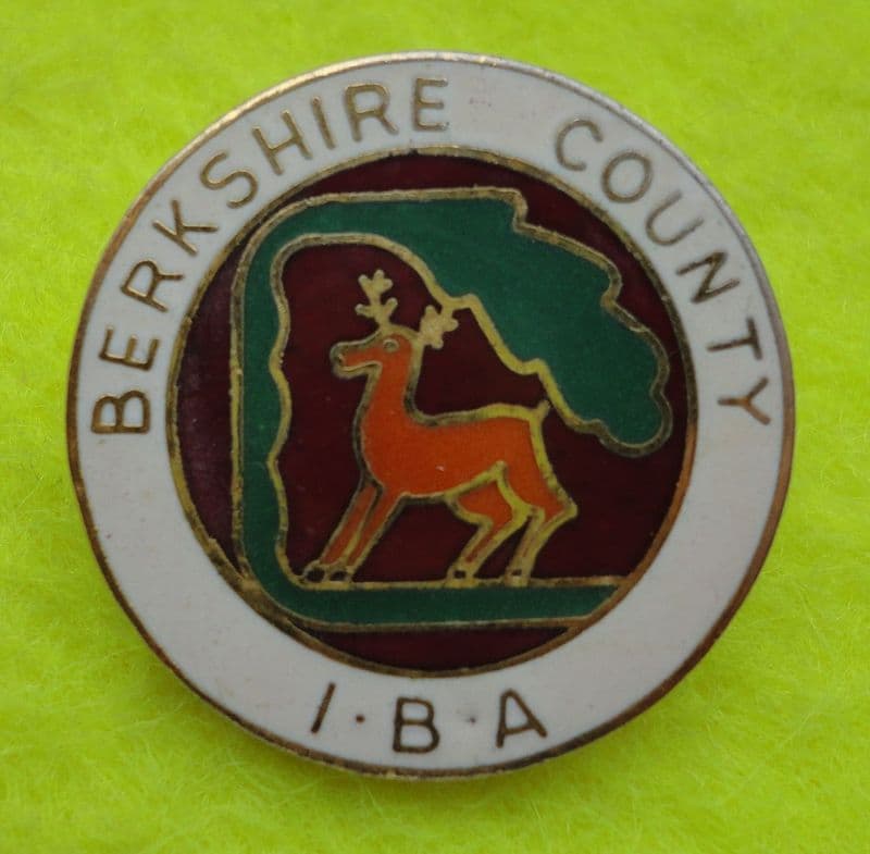Berks County IBA Enamel Pin Badge