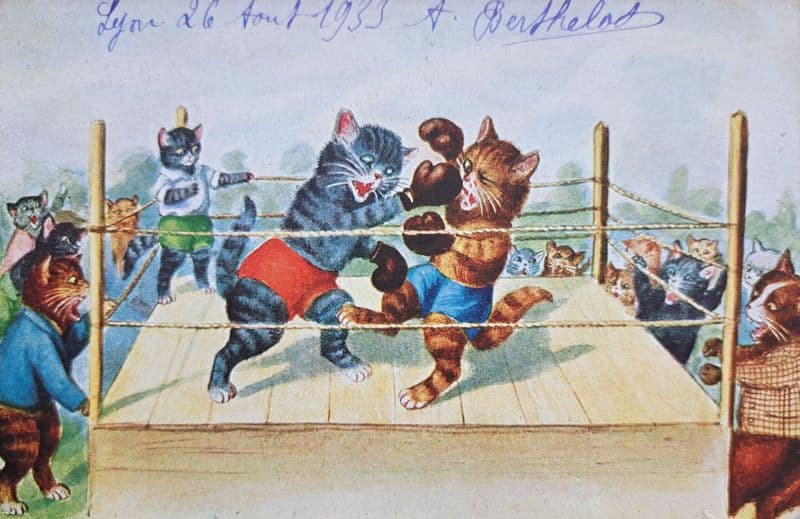 Boxing Cats Card (1930s)