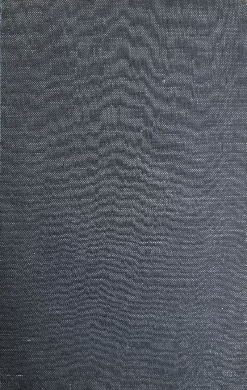 Cricketers School by Walter R Hammond