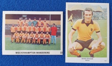Derek Dougan & Wolves (Football Swap Cards)