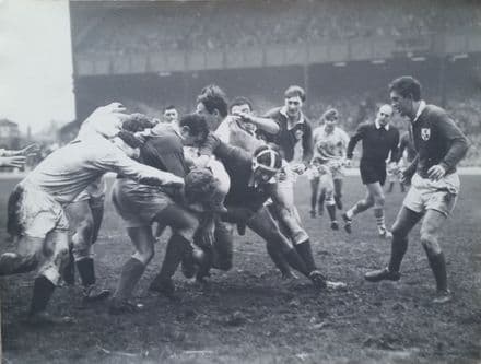 England v Ireland Photograph (1966, Feb 12th)