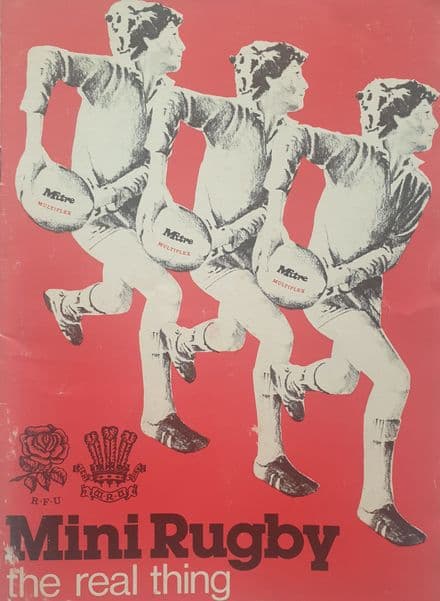 Mini Rugby (the real thing)