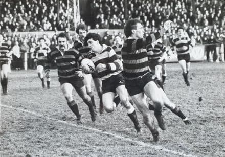 Moseley v Cardiff Press Photo