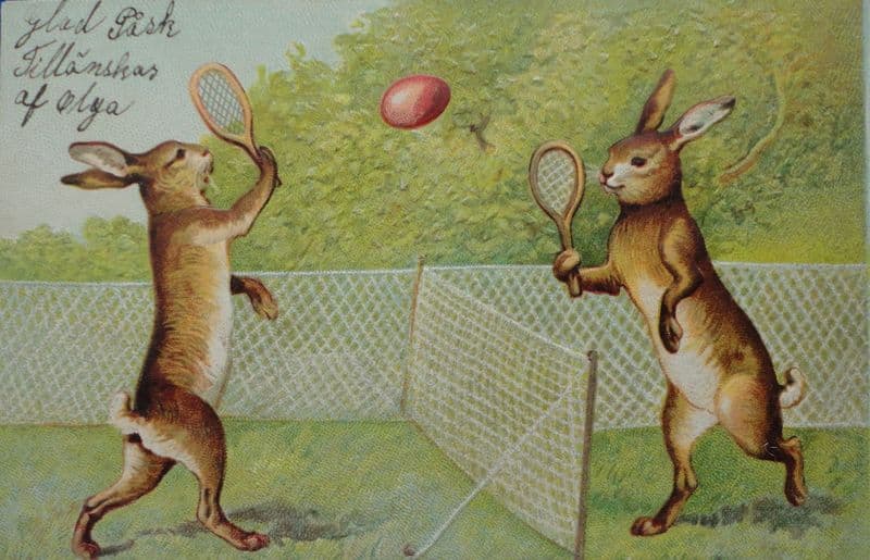 Rabbits Playing Tennis Card (Postally unused)